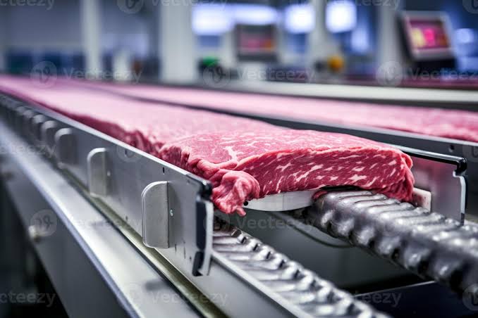 Smart Meat Processing: The Rise of Precision Meat Science - Image 3